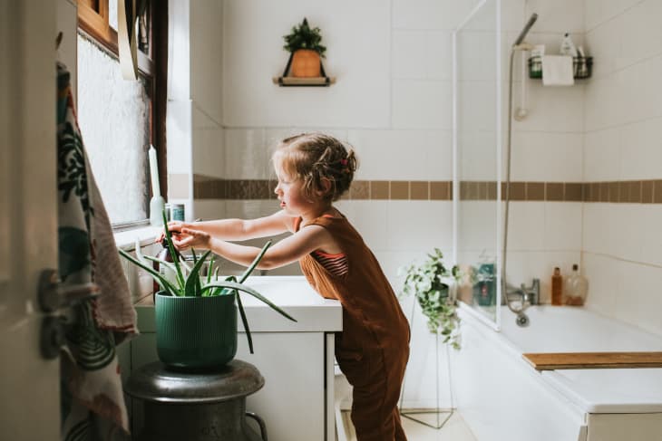 Cute little girl washing her hands at a bathroom sink, in a stylish home environment. Aloe Vera plant in foreground and liquid soap and chrome tap featured. Little girl is confident and content.