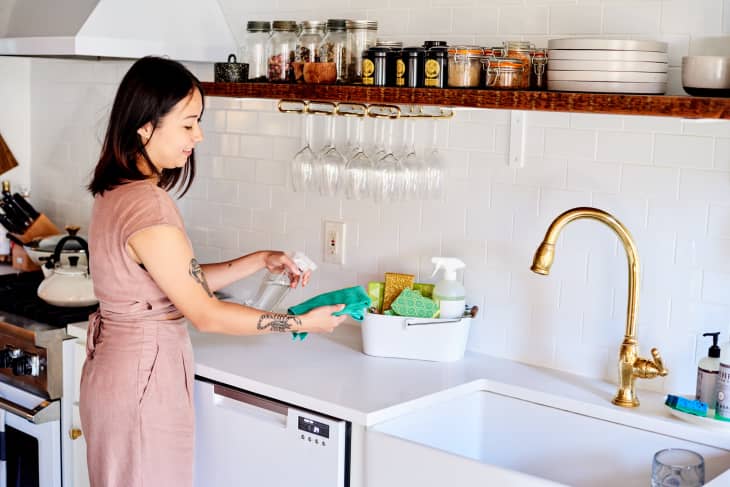 Kitchen Sink Squeegee and Countertop Brush, Multi-Purpose, Cleans