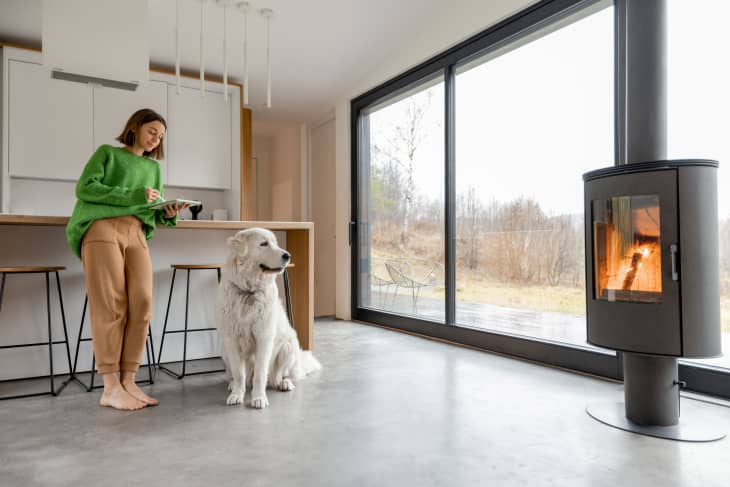 Young woman with her dog at modern house with panoramic windows and fireplace. Concept of comfort and happy life at modern living spaces.