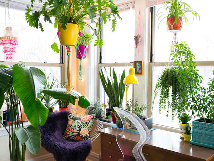 Home office with large windows, vibrant plants, a wooden desk, clear chair, and a yellow lamp.
