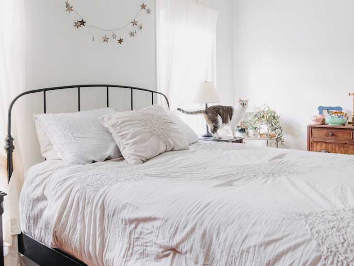 Cat standing on dresser in bedroom with neatly made bed