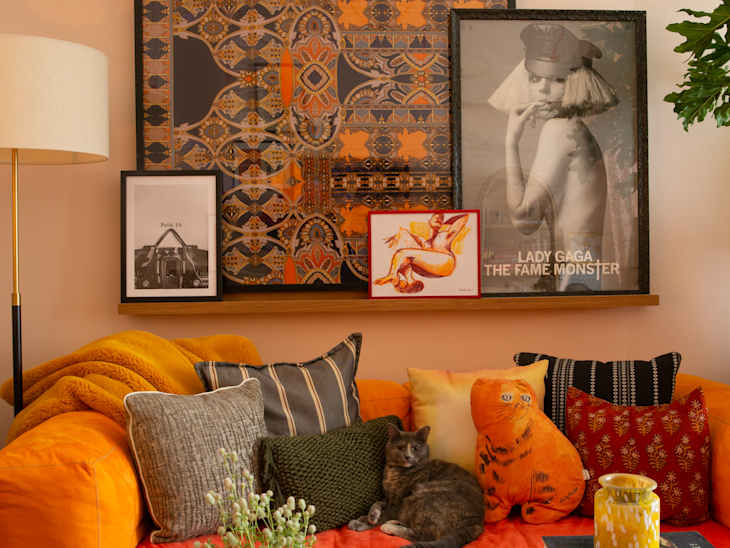 Cozy living room with orange sofa, colorful cushions, cat, framed art, and decorative plants.
