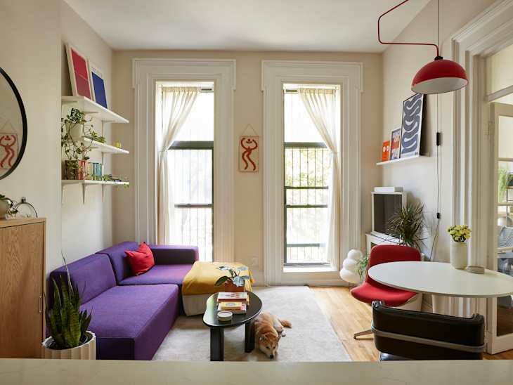 Cozy living room with a purple sofa, round coffee table, and a dog on a rug, featuring plants and bright decor.