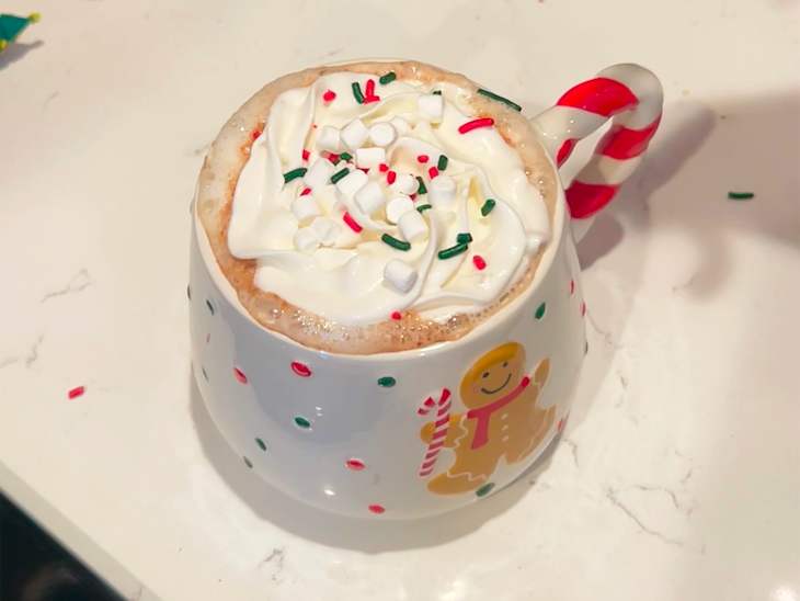 Hot chocolate in mug.