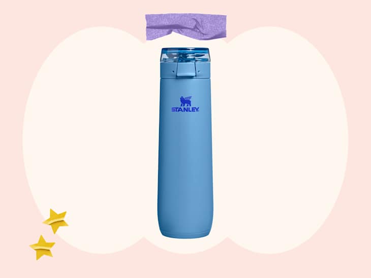 STANLEY Flowstate Spring Leakproof Water Bottle with Carry Strap & Flip-Top Locking Lid, 20 oz