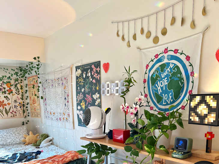 Plants and items on shelves in white dorm