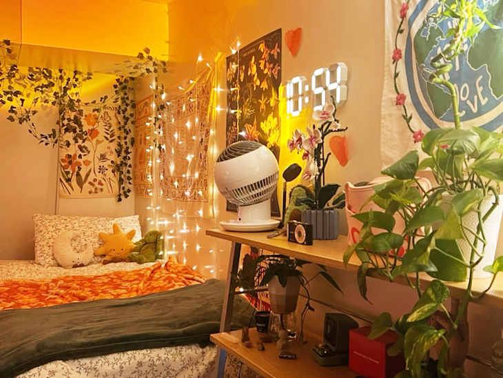 Plants and string lights in white dorm