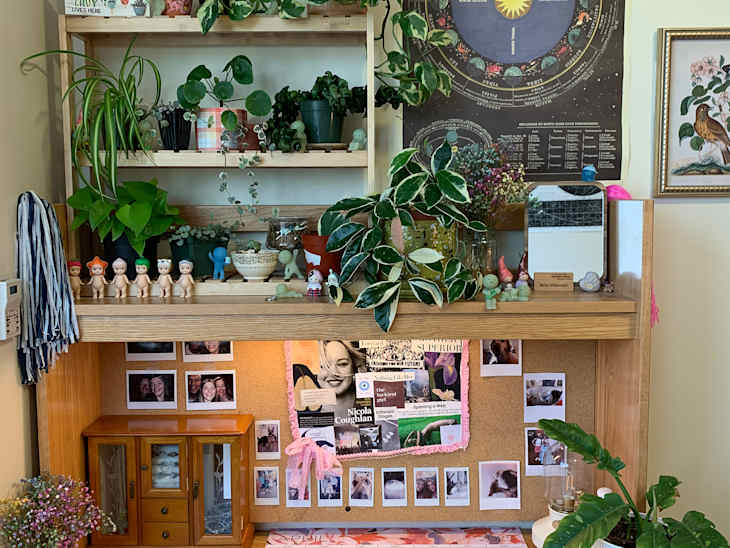 Plants on shelves above desk in college dorm room.