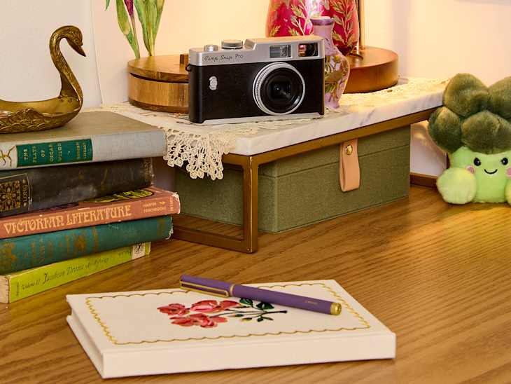 Vintage camera on a marble shelf with books, a decorative swan, a green storage box, and a plush broccoli toy.