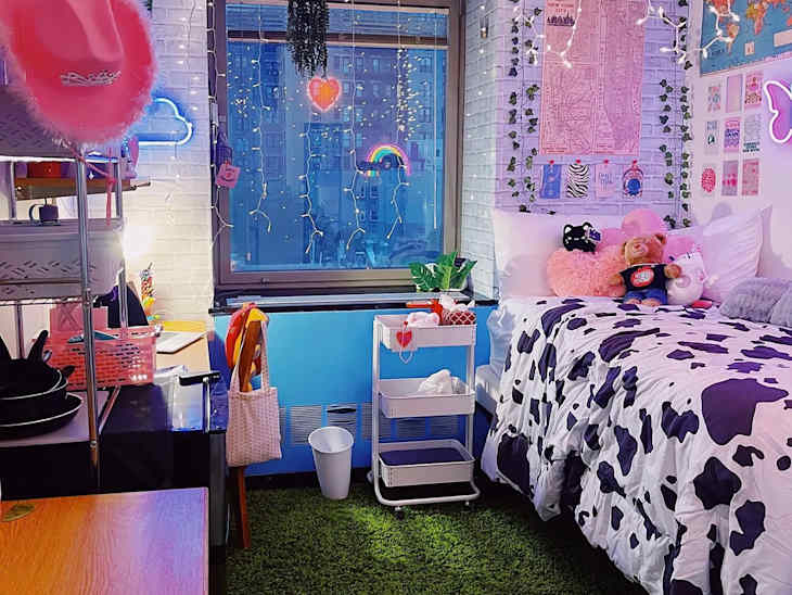 Cow print comforter in colorful dorm room.