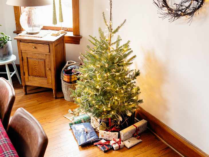 Christmas tree in living room
