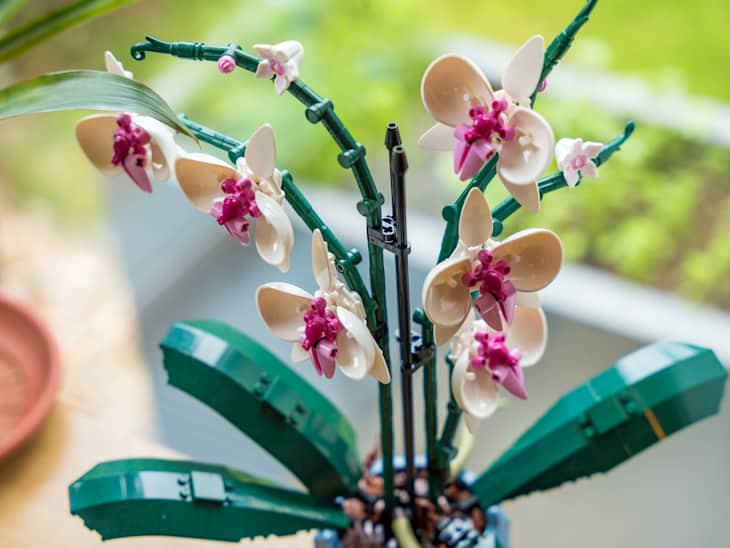 Prague, Czech republic - May 8, 2024: A close-up of a plastic decorative orchid constructed from Lego bricks, offering a unique, durable, and sustainable alternative to fresh flowers.