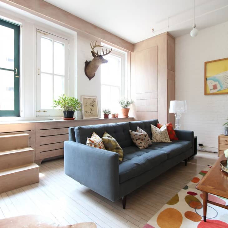 Bright living room with a blue sofa, colorful pillows, potted plants, and a mounted deer head on the wall.
