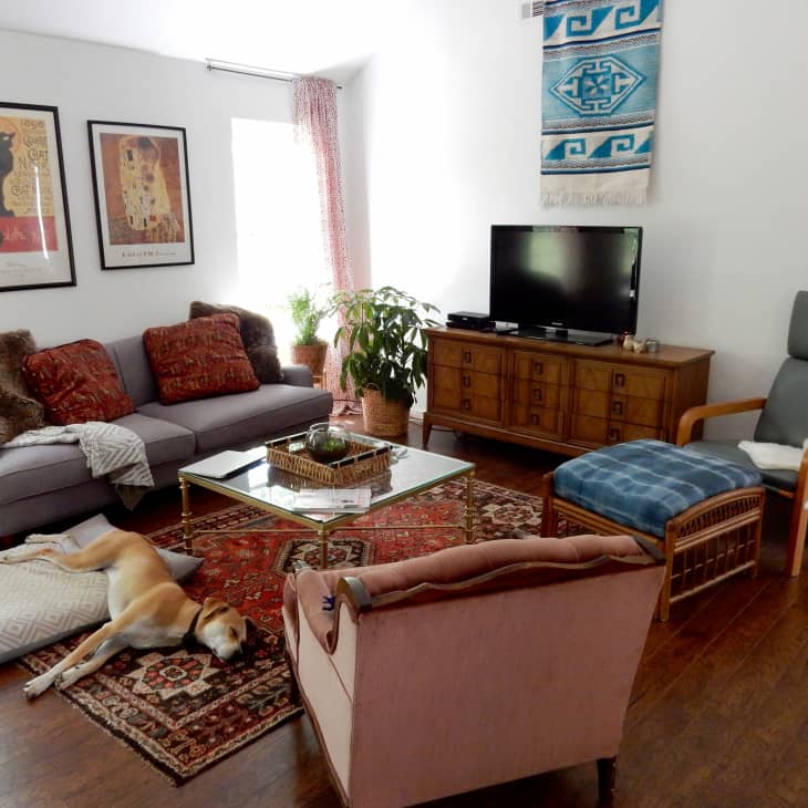 Living room with a gray sofa, red cushions, framed art, wooden TV stand, and a dog resting on a patterned rug.
