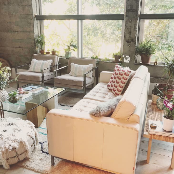Cozy living room with beige sofa, glass coffee table, plants, and large windows.