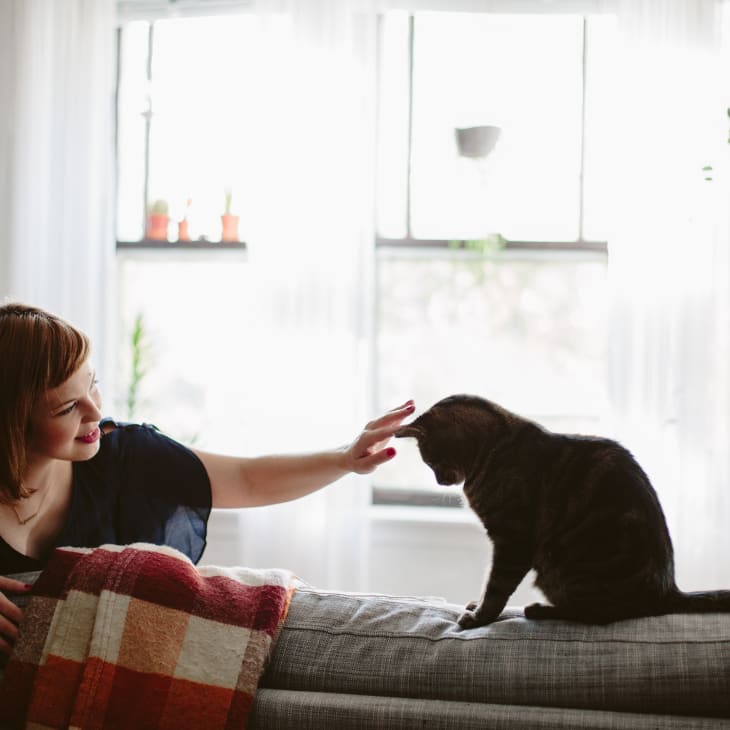 Woman petting a cat on a gray sofa with a red and white blanket, in a bright room with plants by the window.