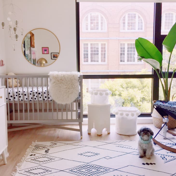Nursery with gray crib, polka dot bedding, white dresser, large plant, and a small dog on a patterned rug.