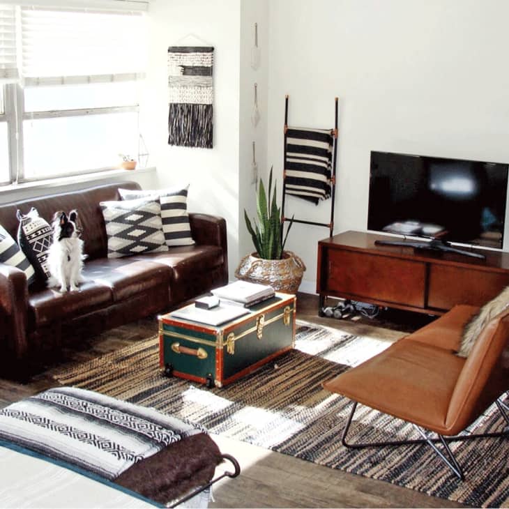 Living room with brown leather sofa, patterned pillows, small dog, TV, and a green trunk as a coffee table.