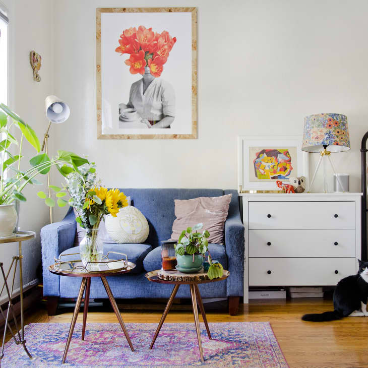 Cozy living room with blue sofa, colorful cushions, plants, art, and a black-and-white cat near a white dresser.
