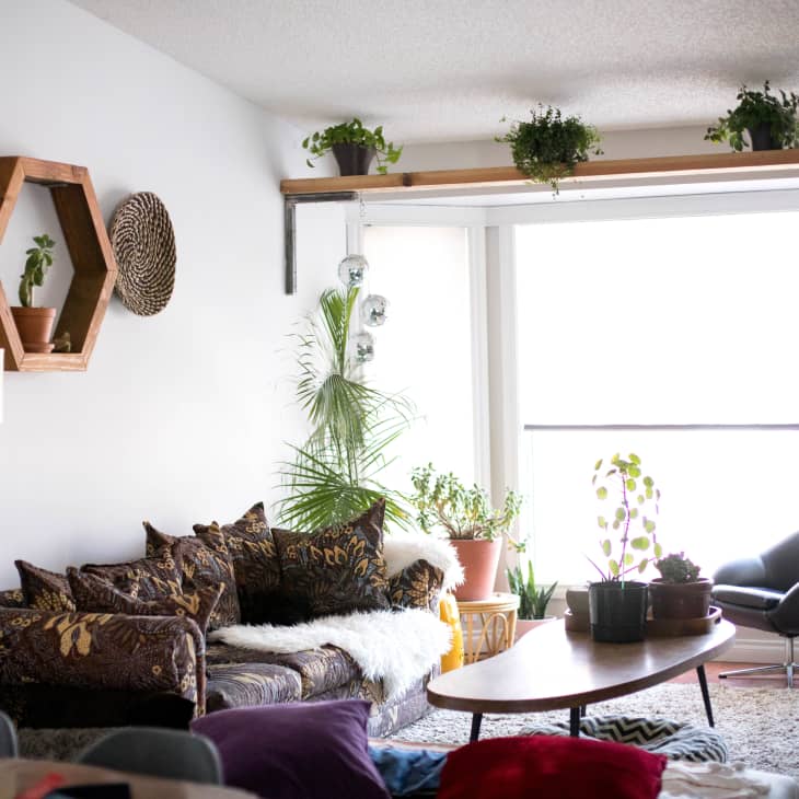 Living room with patterned sofa, wooden coffee table, plants, hexagonal shelf, and large window with natural light.