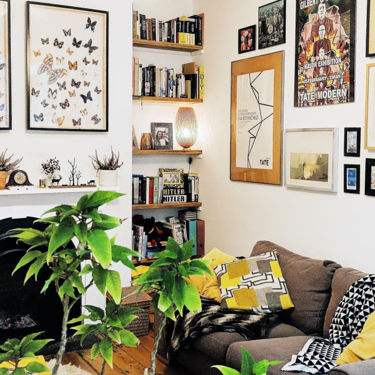 Cozy living room with a gray sofa, colorful cushions, framed butterfly art, and a gallery wall above a fireplace.
