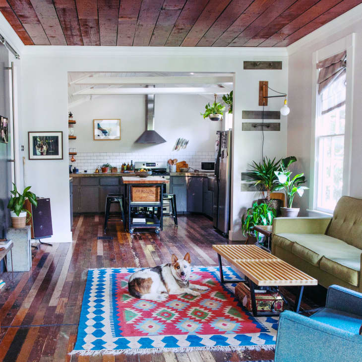 Living room with green sofa, blue armchair, colorful rug, plants, and a dog lying on the floor, leading to a kitchen.