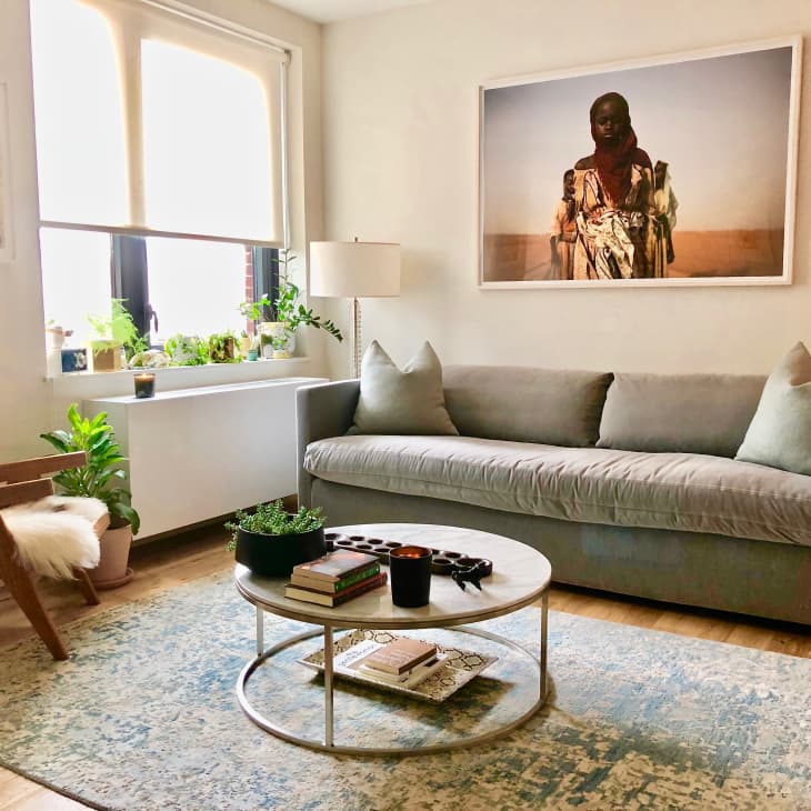 Living room with a gray sofa, round coffee table, plants, and framed artwork on the wall.