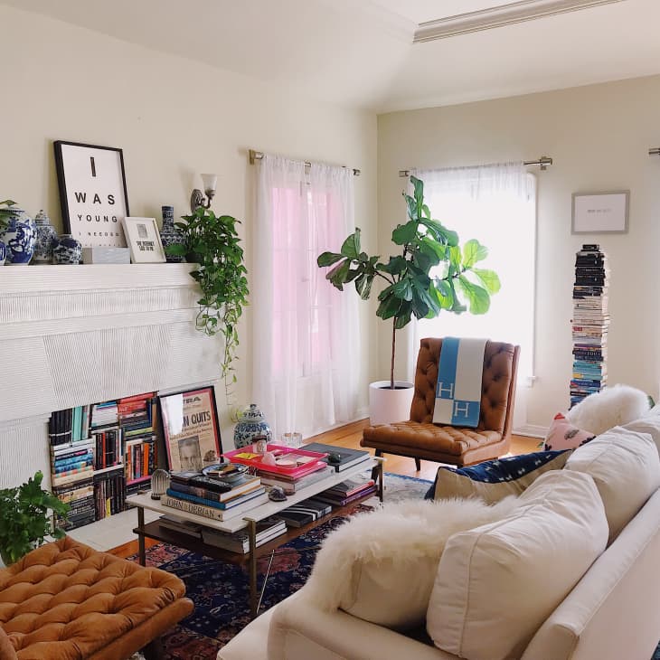Cozy living room with white sofa, brown chairs, bookshelves, plants, and a coffee table with books and decor.