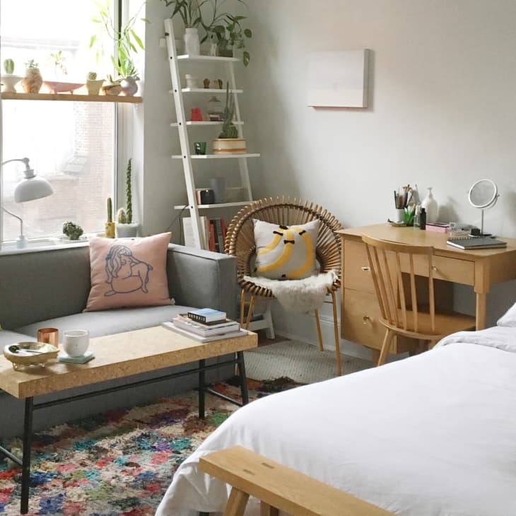 Cozy bedroom with a gray sofa, colorful rug, wooden desk, and a cat on the bed. Plants and decor on shelves.