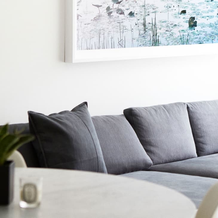 Gray sectional sofa with dark cushions, a small plant on a round table, and a framed nature artwork on the wall.