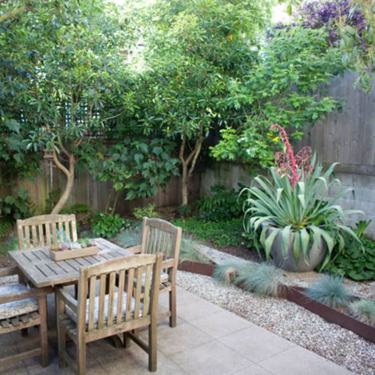 Wooden patio set in a lush garden with large potted succulent and surrounding trees.