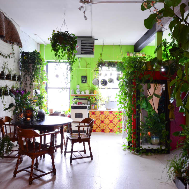 Dining area with wooden table and chairs, surrounded by lush green plants and a bright green kitchen wall.