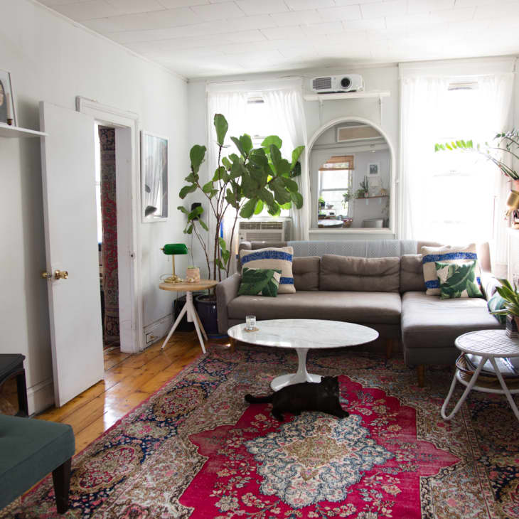 Living room with gray sectional sofa, colorful rug, plants, and a white round coffee table.