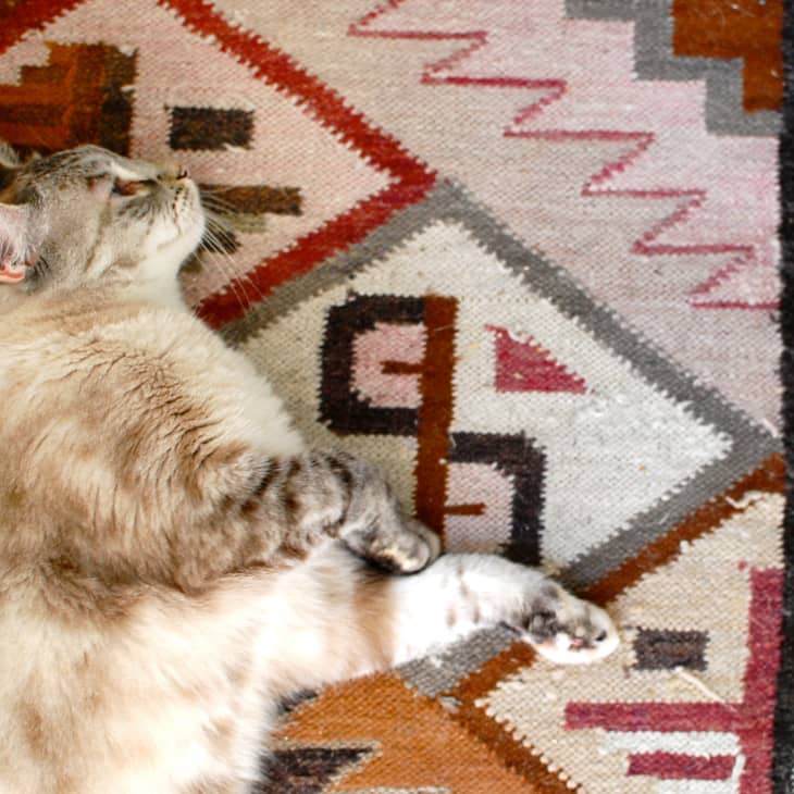 Cat lying on a geometric patterned rug with earthy tones.