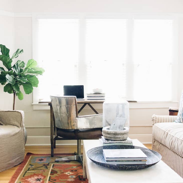 Home office with a desk, laptop, and chair by a window, striped sofa with blue floral pillows, and a large potted plant.