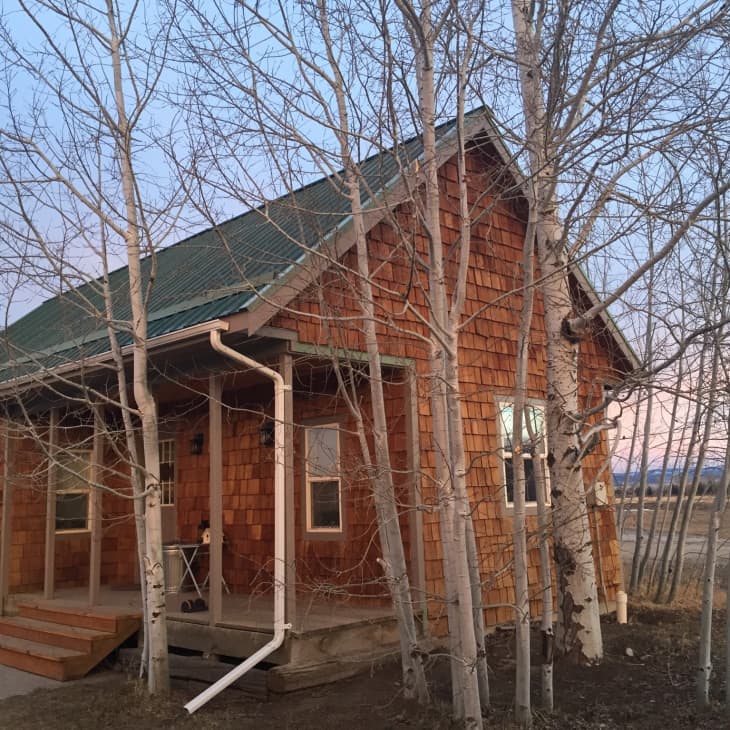 Rustic wooden cabin with green roof surrounded by bare trees at dusk.