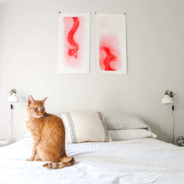 Orange cat sitting on a bed with white bedding, flanked by two wall lamps and abstract red artwork above.