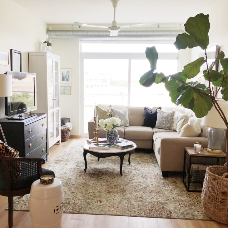 Living room with beige sectional sofa, large potted plant, black dresser, and decorative coffee table on patterned rug.