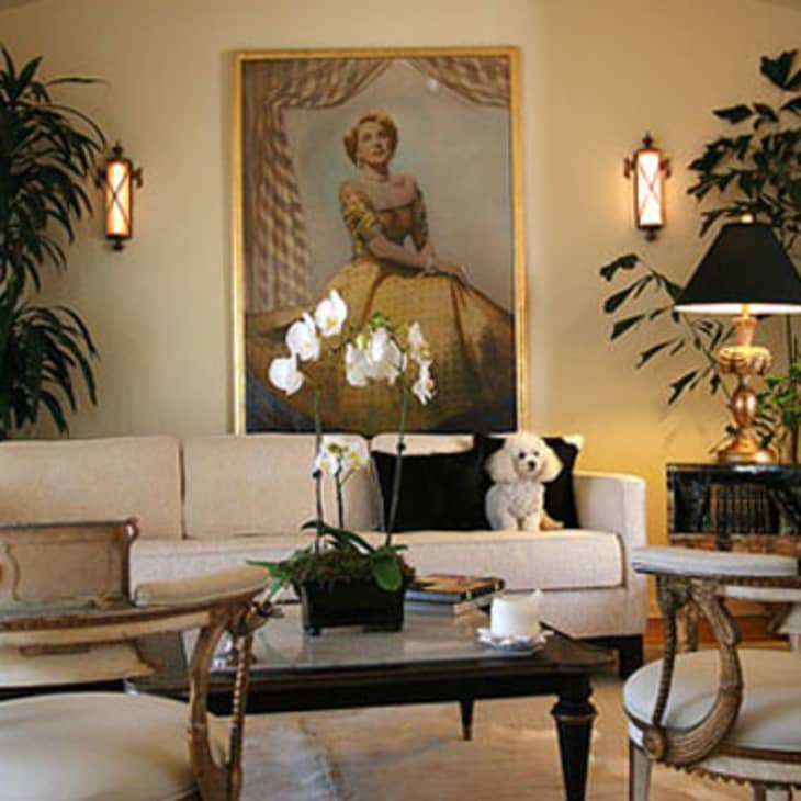 Elegant living room with a cream sofa, large portrait, orchids on a coffee table, and a small dog sitting on the sofa.