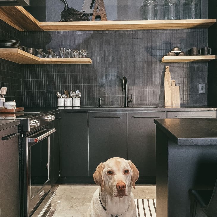 Modern kitchen with black cabinets, open wooden shelves, and a Labrador sitting on a striped rug.