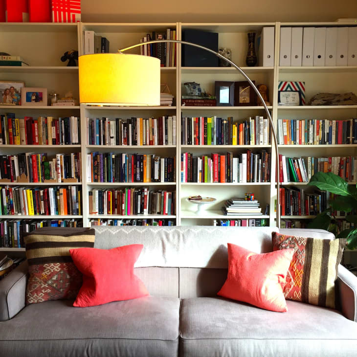 Gray sofa with red pillows in front of a large bookshelf filled with books, a floor lamp, and a potted plant.