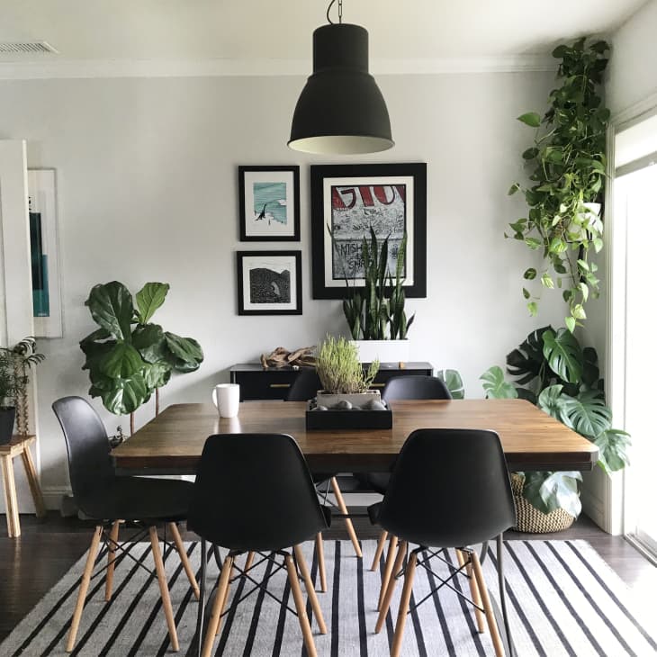 Dining room with black chairs, wooden table, hanging plants, framed art, and large windows.