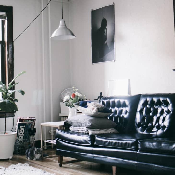 Living room with a black leather sofa, potted plant, pendant light, and a window with a view.