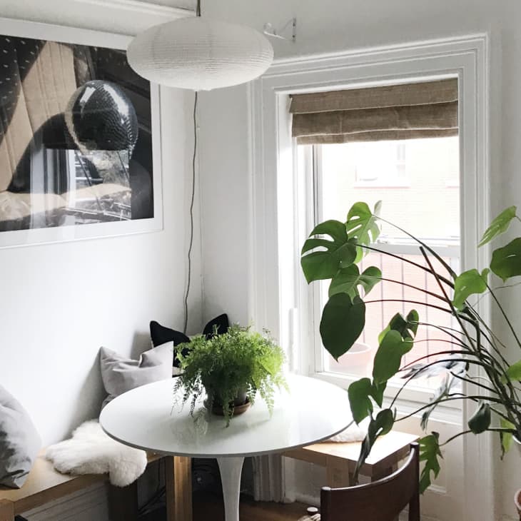 Cozy dining nook with round table, gray cushions, large potted plants, and abstract wall art near a window.