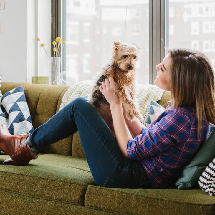 Woman in plaid shirt holding a small dog on a green sofa with patterned pillows.