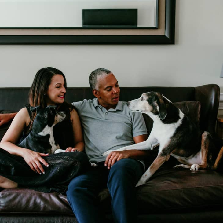 Couple sitting on a brown leather sofa with two dogs, next to a side table with a lamp.