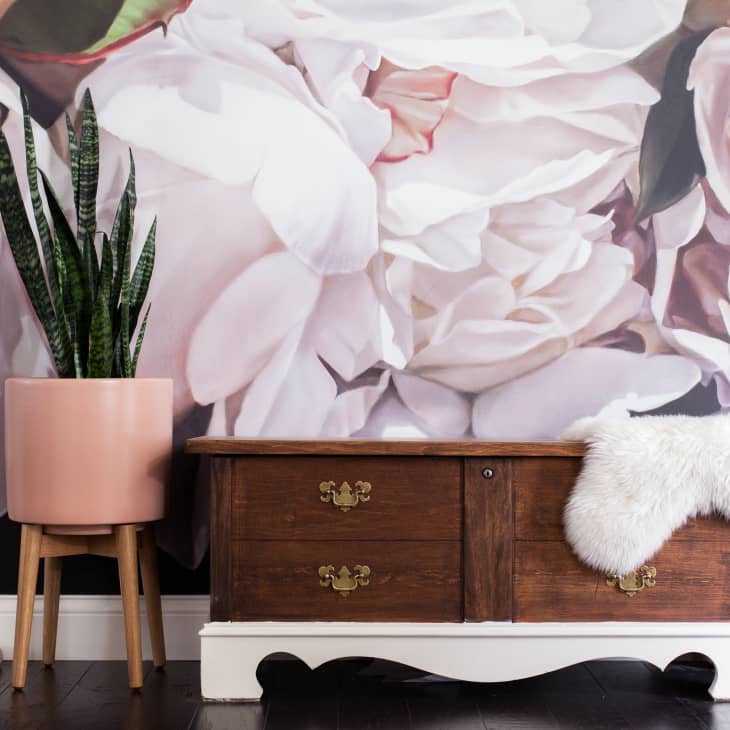 Wooden chest with brass handles, pink planter with snake plant, floral wall mural, and fluffy white throw.