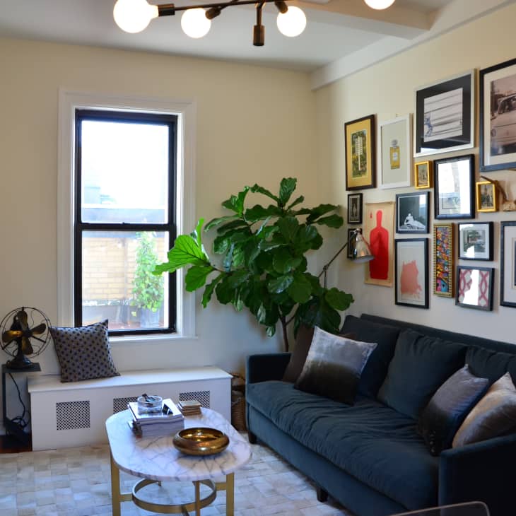 Living room with dark sofa, gallery wall, large plant, and modern light fixture. Coffee table with books and decorative items.