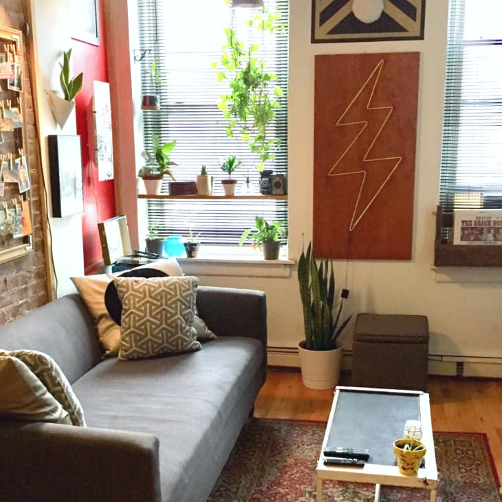 Cozy living room with gray sofa, patterned pillows, plants, framed art, and a small coffee table on a rug.