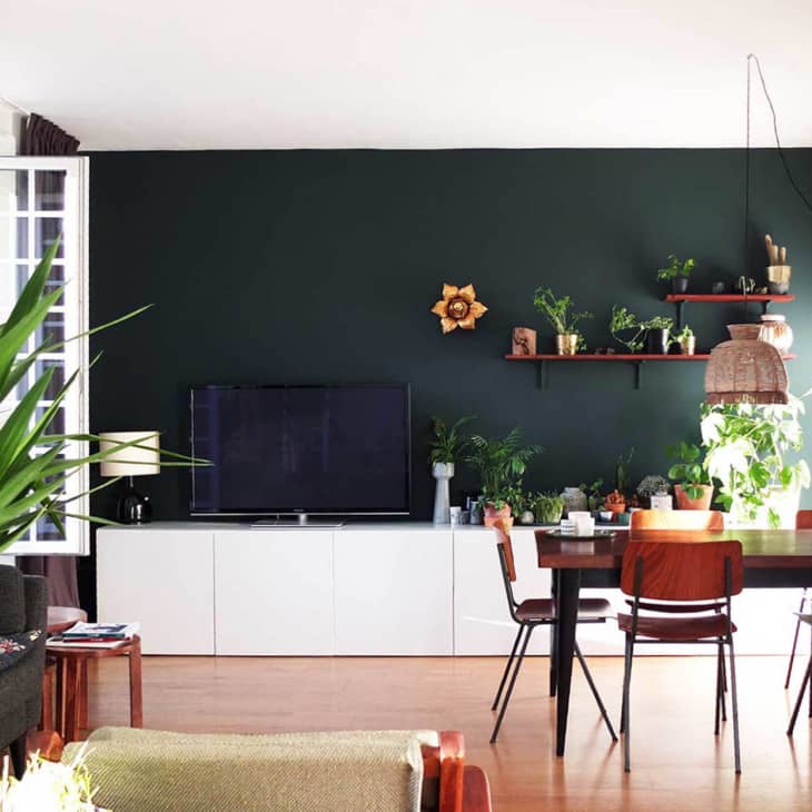 Living room with dark green accent wall, TV, white cabinet, dining table, wooden chairs, and various potted plants.